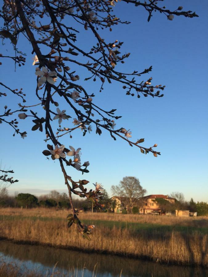 Agriturismo Valle Ca' Del Lovo Carlino Экстерьер фото